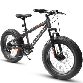 A20316 20 inch Fat Tire Bike Adult/Teen Full Shimano 7 Speed Mountain Bike, Dual Disc Brakes, High Carbon Steel Frame, Front Suspension